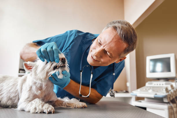 Best Tooth Infection Emergency Dentist  in Mogadore, OH
