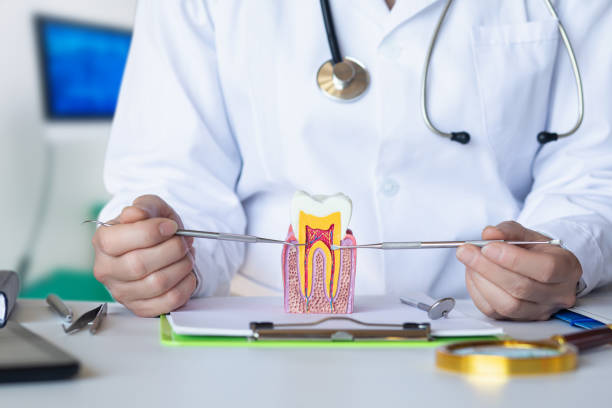 Best Root Canal Emergency Dentist  in Mogadore, OH